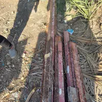 باسلام تیراهن ۱۲ دارم