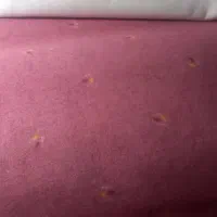 ایران موکت  موکت در حده نو موکت اداری