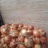 وسایل شخصی اگهی مربوط به عکس حراج