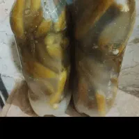 خیار شور خوب تمیز