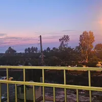 اسکان رایگان