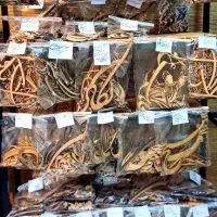 حروف کالیگرافی ، حروف چوبی