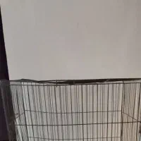 قفس