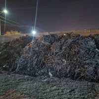 خریدار نوارتیپ قطره ای بصورت هکتاری و کیلویی