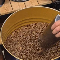 پخش قهوه به صورت عمده و جزئی