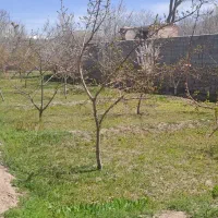 اسکو/باغ/۶۰۰متری