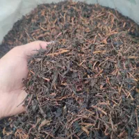 نیروی کارساده