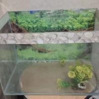 آکواریوم شیشه خم