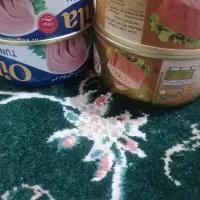 کنسرو تن ماهی اویلا و لادن|خوردنی و آشامیدنی|رشت, شهرک شهید رجایی|دیوار