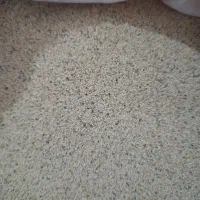 گل وگیاه|گل و گیاه طبیعی|کوهدشت, |دیوار