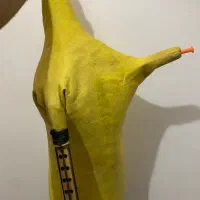 نی انبان حرفه ای پوست چرم