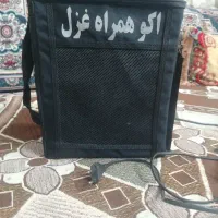 اکو همراه غزل