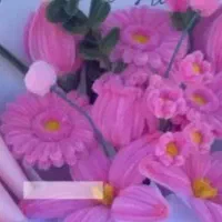 عنوان گل ربانی و مخملی
