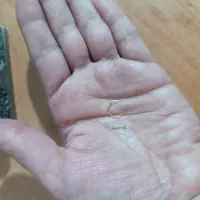 پیرسینگ طلا بینی حلقه ای و میخی|جواهرات|تهران, خواجه نظام الملک|دیوار