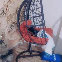 تاب ریلکس|صندلی و نیمکت|بندرعباس, |دیوار