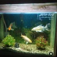 وسایل منزل فروشی|حراج|تهران, مشیریه|دیوار