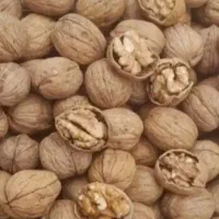 گردو بوانات درجه یک سوپر به قیمت عمده|خوردنی و آشامیدنی|شیراز, شهرک گلستان|دیوار