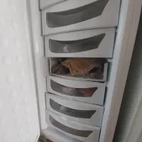 یخچال دو قلو الکترواستیل|یخچال و فریزر|فولادشهر, C4|دیوار