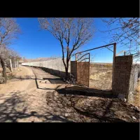 فروش باغ ۱۰۰۰ متری شفیع آباد