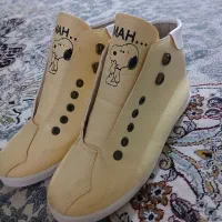 کفش|کیف، کفش، کمربند|یاسوج, |دیوار