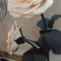 اباژور چراغ دار