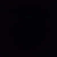 کیف پیدا شده