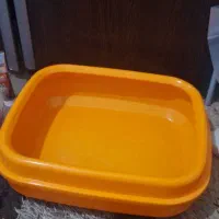 جای دستشویی گربه و...