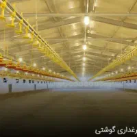 سرمایه گذار جهت احداث مرغداری