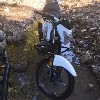 فروش متورطرح بنلی