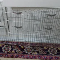 پارک سگ بزرگ