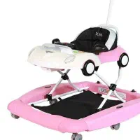 روروئک صورتی