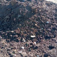 کود|خدمات باغبانی و درختکاری|آستارا, |دیوار