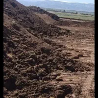 کود حیوانی درجه یک|خدمات باغبانی و درختکاری|مشهد, شهید معقول|دیوار