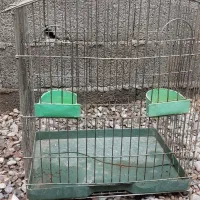 قفس|لوازم جانبی حیوانات|رشت, نامجو|دیوار