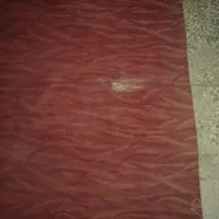 موکت خارجی کناره|موکت|مشهد, رضاشهر|دیوار