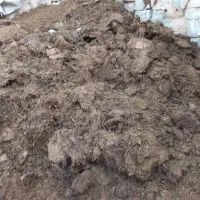 کود حیوانی گوسفندی