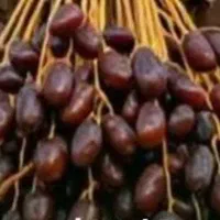 اجاره خرما