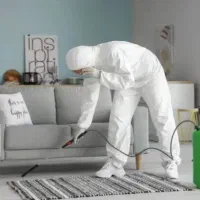 سمپاشی تضمینی سوسک وساس در شهرری وتمام نقاط و حومه
