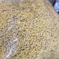 پوشال و یونجه|لوازم جانبی حیوانات|مشهد, طلاب|دیوار