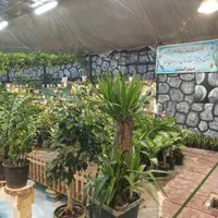 سیمانطرح دار، طرح سنگ،طرح چوب،تگری|خدمات پیشه و مهارت|قم, کلهری|دیوار