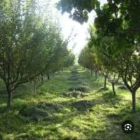 نمایندگی انحصاری فروش کودهای ارگانیک