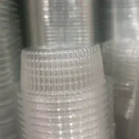 انواع ظروف ظرف سس خوری دلی لانچ فوکری یکبار مصرف