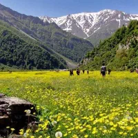شروع ثبت نام تور۲روزه دشت دریاسر
