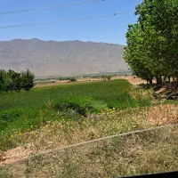 فروش زمین کشاورزی|فروش دفتر صنعتی، کشاورزی، تجاری|اراک, |دیوار