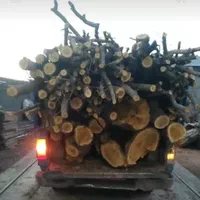 خرید درخت و چوب ساختمانی سقفی وضایعاتی|خدمات باغبانی و درختکاری|ایلام, |دیوار