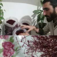 زعفران نخعی (هدف ما جذب مشتری همیشگی هست)