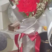 گل نو زیر قیمت زیر قیمت