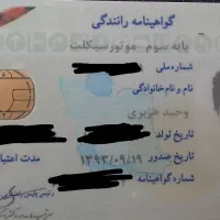 گمشده سرقت|اشیا|شیراز, چوگیاه‎|دیوار