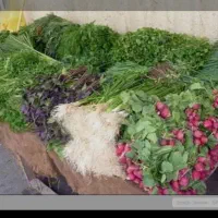 کارگر آشپزخانه و محصولات خانگی