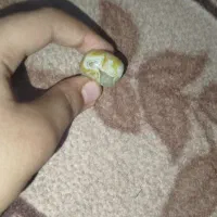 مهره سلیمانی |جواهرات|سوسنگرد, |دیوار